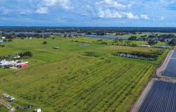BLANTON ACRES Road, PLANT CITY, FL 33565
