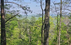 391 Meteor Court NE, Ranger, GA 30734