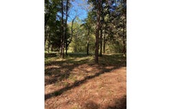 Naconiche Bend, Garrison, TX 75946