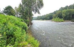 Tbd Shady River Drive, Austinville, VA 24312