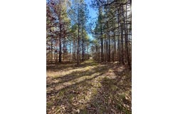 10285 Brooksville Road, Louisville, MS 39339