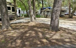 25160 140TH LOOP NE, SALT SPRINGS, FL 32134