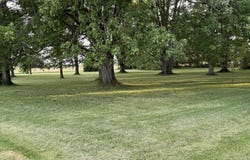 12029 Dutton Road, Rockford, OH 45882
