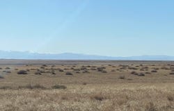 County Rd, Briggsdale, CO 80611