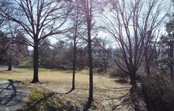299 W VALLEY FORGE RD, KING OF PRUSSIA, PA 19406