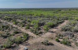 CR 455, George West, TX 78022
