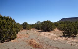 Tract 2A Camino del Sol, NM 87569
