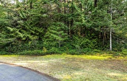 9999 Hunt Road, Port Angeles, WA 98362