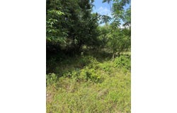 1005 Henderson ST, Cameron, TX 76520