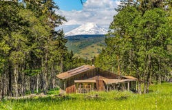 Evergreen Terrace, Mosier, OR 97040