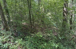 Lot 22 Larue Lane, Ellijay, GA 30540