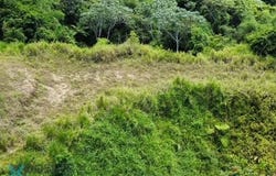 VivÃ­ Abajo, Utuado, PR 00641