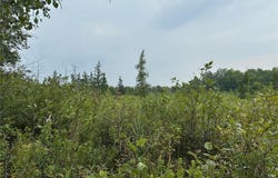 Xxx County Rd E, Bennett, WI 54873