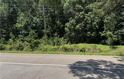 0 Saeger Road, Grand Bay, AL 36541