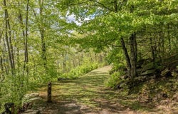 723 Shepherds Gap Road, Cullowhee, NC 28723
