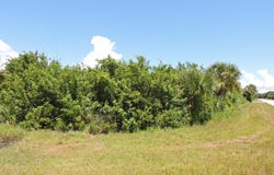 7202 DOOLEY STREET, PORT CHARLOTTE, FL 33981