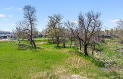 TBD Lot 18 Birnam Wood Lane, Belle Fourche, SD 57717