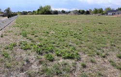 County Rd 15, Firestone, CO 80504