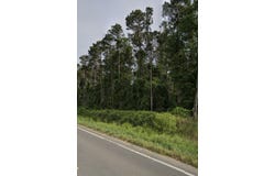Ambrose Rd, Ambrose, GA 31512