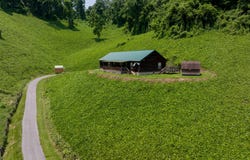 1869 Begonia Way, Sevierville, TN 37876