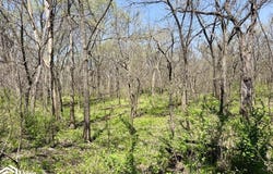 2325 Beaumont Ave., Ionia, IA 50645