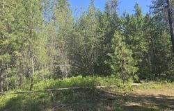 XXX HWY 395, LOON LAKE, WA 99148