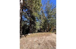 Mid Ln, Twin Peaks, CA 92391