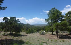 23205 US 64, Taos, NM 87577-1111