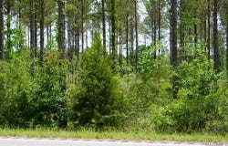 0 Pineapple Highway, Forest Home, AL 36030