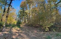 136 Malmaison Headquarters Rd, Holcomb, MS 38940