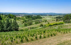 13671 SW ACADEMY WAY, Gaston, OR 97119