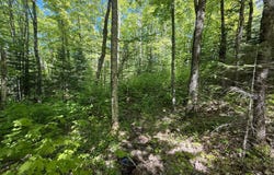 Lot 8 POMEROY LAKE RD, Marenisco, MI 49947