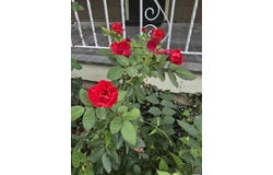 123 SW Kendall AVE, Topeka, KS 66606