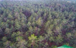 TBD Guyton Loop Road, Eros, LA 71238