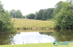 139 County Road 638, Pisgah, AL 35765