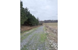 33 acres M/L Greene 710, Paragould, AR 72450