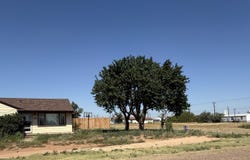 1102 Avenue B, Plains, TX 79355
