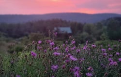112 Goldenrod Ln, Smyrna, NY 13464