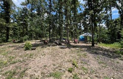 366 Ripley 142E-16, Doniphan, MO 63935