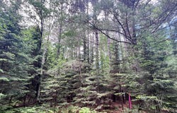 EAGLE WATERS RD lot: 5, Eagle River, WI 54521