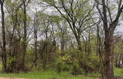 246 4th Street, Cooper, TX 75432