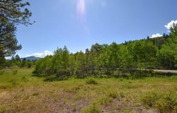1309 Aspen Drive, Ridgway, CO 81432