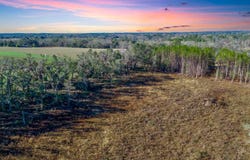 506 NW COACHWHIP AVE, Madison, FL 32340