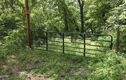 4245 Cave Springs Rd, Tazewell, TN 37879