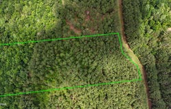 0 Southern Oak Way, Westville, FL 32464