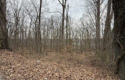 0 Pitcher Road, Morgantown, KY 42261