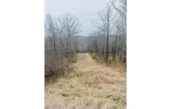 Dodd Mountain Road, Clinton, AR 72031