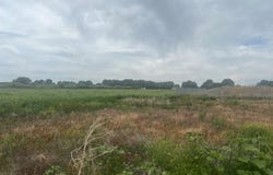 62 Acres N 16th E, Sugar City, ID 83448