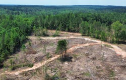 000 CR 5217, Ethel, MS 39067