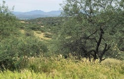 673 Fog Lane, Rio Rico, AZ 85648